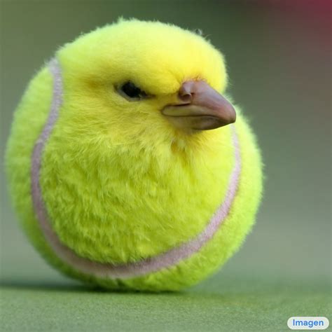 Irina Blok On Twitter Photo Of Profile Of Cute Yellow Canary Bird Head With Tennis Ball Body