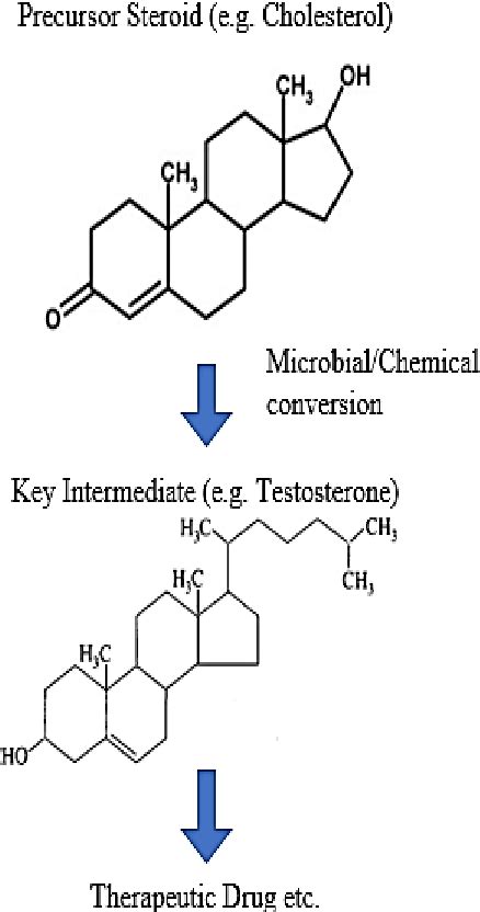 Table 1 from MICROBIAL TRANSFORMATION OF STEROIDS: A FOCUS ON TYPES AND TECHNIQUES | Semantic ...