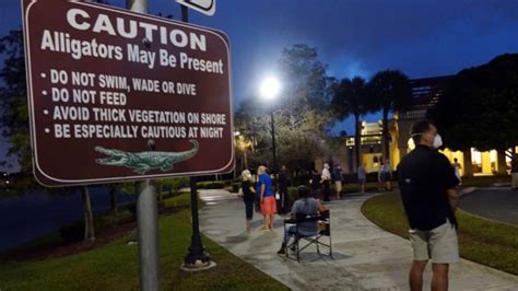 Florida Begins Early Voting With No Major Problems Reported Ctv News