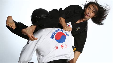 Grandmaster Taejoon Lee - Defense with Belt - World Hwa Rang Do® Association