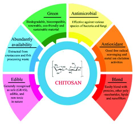 Chemical Characteristics And Functional Properties Of Chitosan