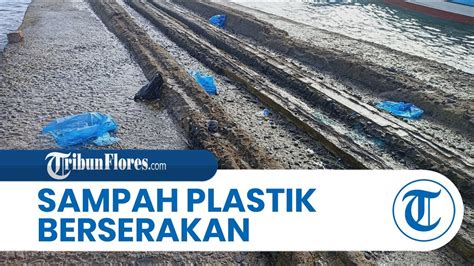 Plastik Pembungkus Ikan Berserakan Di Ppi Maumere Daniel Boni Minta