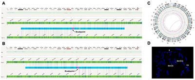 Frontiers Case Report Optical Genome Mapping Revealed Double