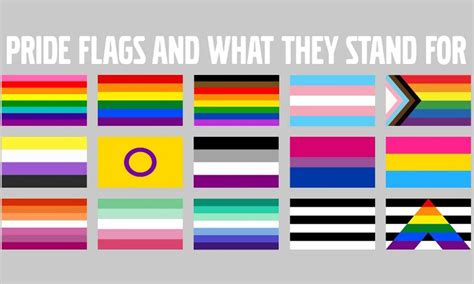 Gay Flag Alternate Colors My XXX Hot Girl