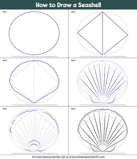 How To Draw A Seashell Everyday Objects Step By Step