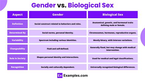 Gender 30 Examples Definition Types Identity Role