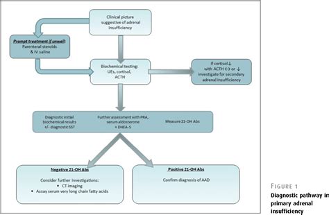 Figure 1 From Autoimmune Addison S Disease Semantic Scholar