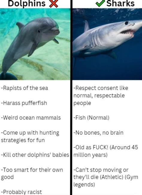 Fun Facts About Shark Artofit