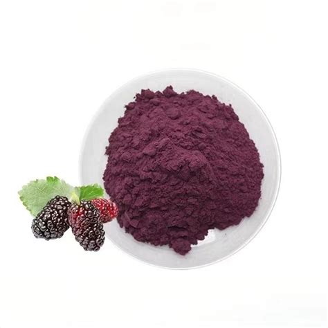 High Quality Natural Fruit Extract Food Coloring Spray Dried Mulberry