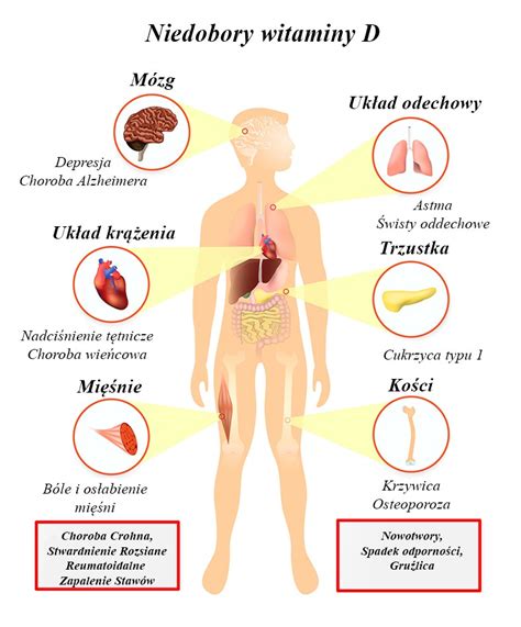 Witamina D Niedob R I Nadmiar Dzia Anie Plejotropowe Alfa Lek