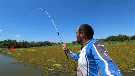 No Final Da Pesca Caipira Peguei Um Peixe Inusitado Foi De Arrepiar