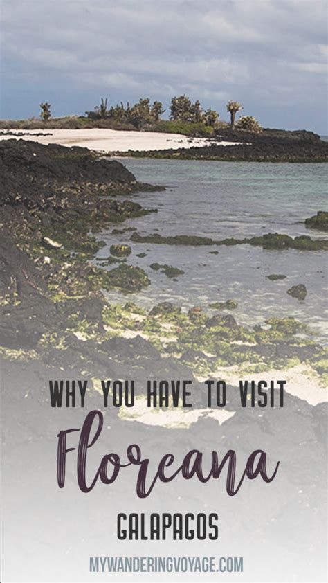 Visit Galapagos Floreana Island My Wandering Voyage