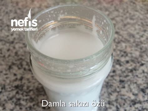 Damla Sakızı Faydaları Nelerdir Nasıl Kullanılır Nefis Yemek Tarifleri