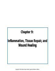 Mn Unit Chapter Pptx Chapter Inflammation Tissue Repair