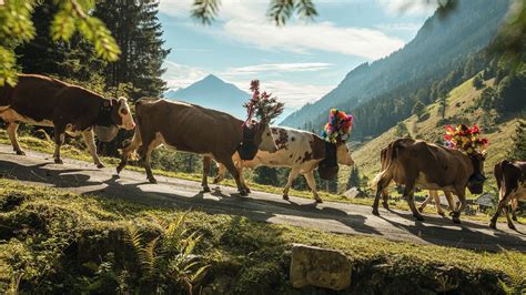 Top Traditional Events | Switzerland Tourism