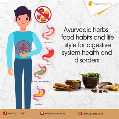 How To Improve Digestive System Ayurvedic Herbs Food Life Style