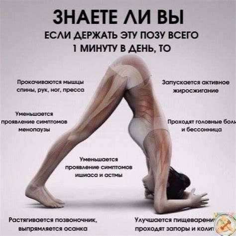 Pin by on Ваши пины Mini workouts Daily yoga workout Easy yoga