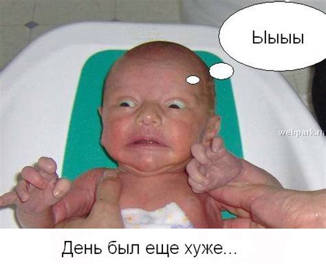 Какой сегодня день?. Обсуждение на LiveInternet - Российский Сервис ...