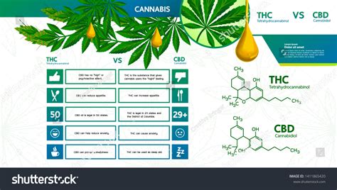 Cannabis Many Benefits Vector Illustration Stock Vector (Royalty Free) 1411865420 | Shutterstock