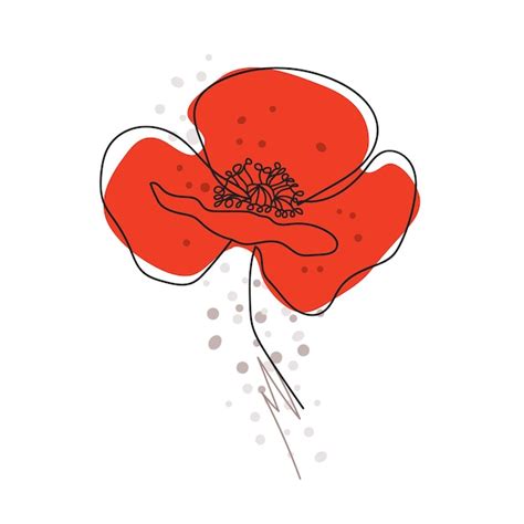 Premium Vector Poppies Flower Continuous Line Drawing Abstract