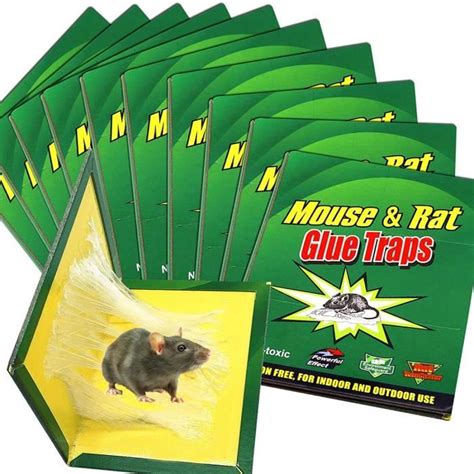 Pi Ge Souris Pi Ges Rats Plaques Professionel Plaques Ultra