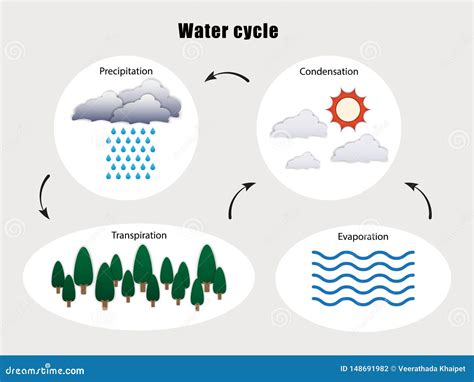 Condensation Water Cycle