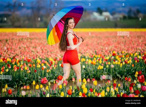 Long Haired Brunette Walking Across Vast Tulip Field With Umbrella In