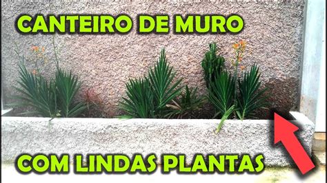 CANTEIRO DE MURO LINDAS PLANTAS YouTube