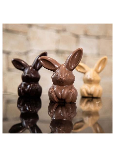 Moule pour lapin de Pâques en PVC by VALRHONA