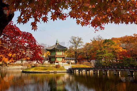 景福宫首尔秋天宫殿韩国季节光化门广场神殿水平画幅墙图片秋天图片图片素材 花瓣网