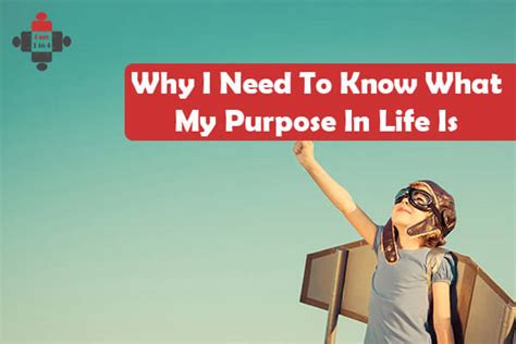 Why I Need To Know What My Purpose In Life Is I Am 1 In 4