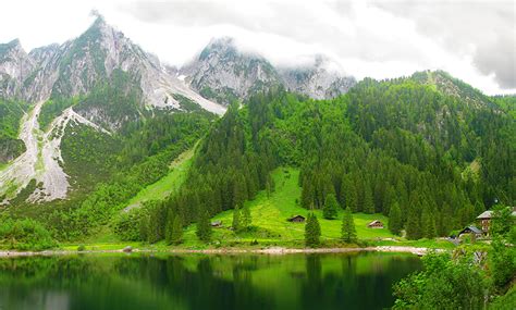 Фотография Австрия lake Gosausee Горы Природа лес Озеро