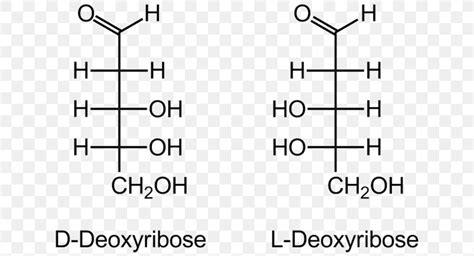 L-Glucose Fischer Projection Epimer Fructose, PNG, 640x444px, Lglucose, Anomer, Area, Black And ...