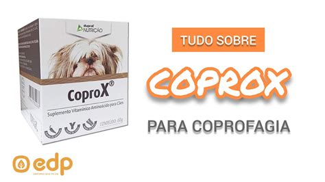 Coprox Rem Dio Para Cachorro H Bito De Comer Coco