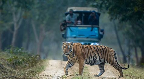 Resorts In Kabini Kabini Resorts Jungle Lodges