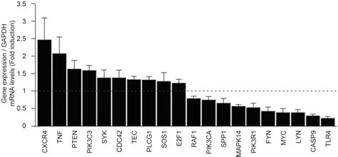 Plateletrich Plasma PRP Affected Genes In The PI3K AKT Signaling