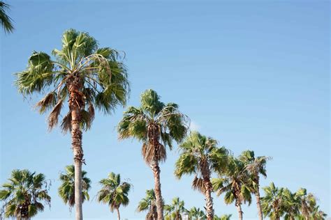Visit Fort Pierce For Awesome Adventure Betsi Hill Travel