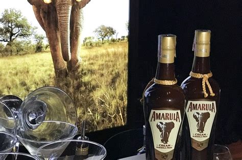 Amarula Lan A Nova Garrafa E Faz Parceria Santu Rio De Elefantes