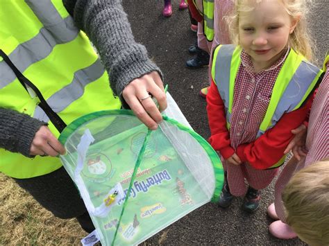 Grateley Primary School Our Butterflies