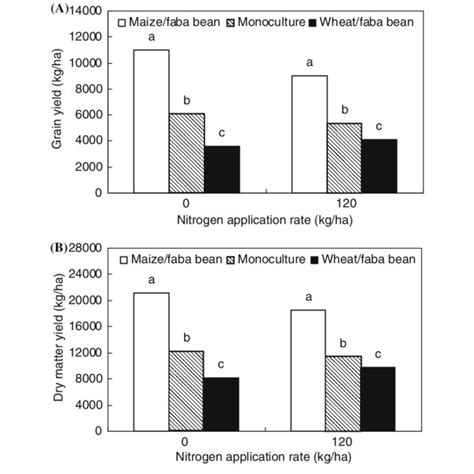 Grain Yield A And Shoot Dry Matter Yield B Of Faba Bean In Three Download Scientific