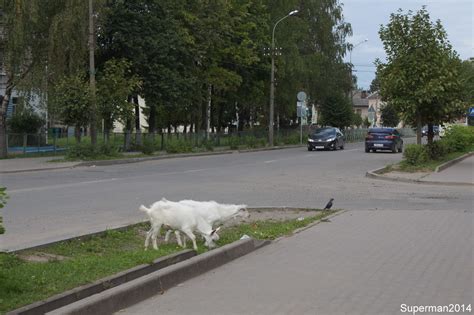 Порхов: ru_travel — LiveJournal