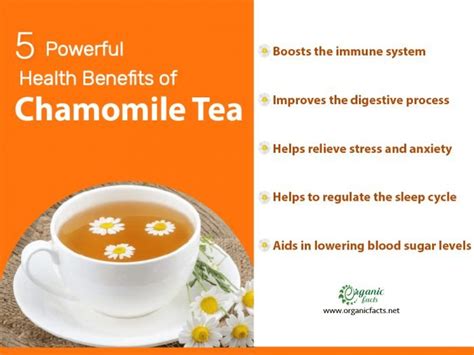 Health Benefits Of Chamomile Tea Infographic Chamomile Tea Benefits