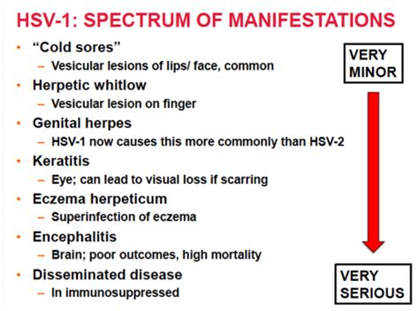 GEM2 GI Microbiology 6 Herpes Virus Flashcards Quizlet