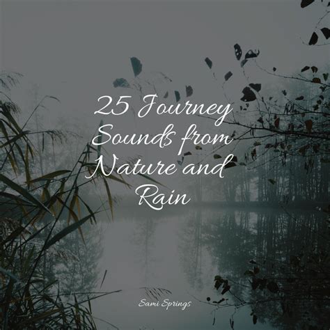 25 Loopable Summer Rain Sounds Album By Rainy Sounds Guided