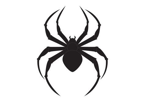 Black Spider Clipart Arachnia Illustration Of Black Spider