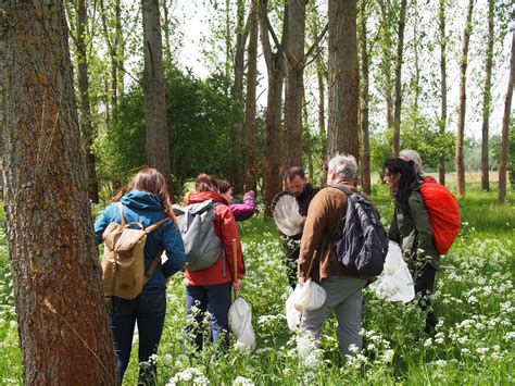 Artenkenner Stiftung Naturschutz Berlin