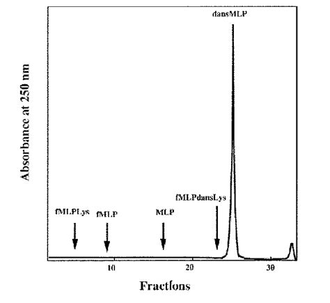 Hplc Analysis On C Reversed Phase Column Of Various Derivatives Of