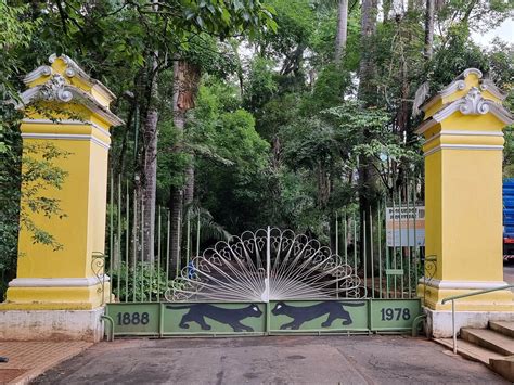 Bosque Dos Jequitib S Arquitetura Italiana