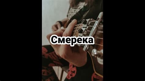 Смерека (cover) - YouTube