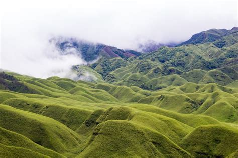 Meet Yourself At Dzukou Valley Tripoto